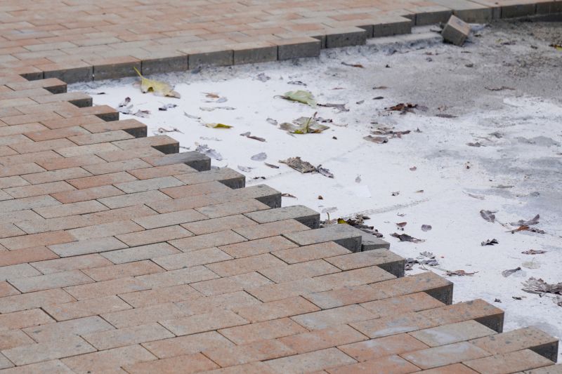 Brick Paver Patio Repair detail